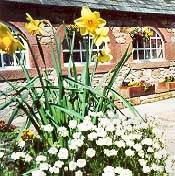farm cottages and farmhouse bed and breakfast